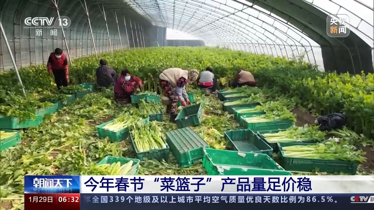 农业农村部：今年春节“菜篮子”产品量足价稳