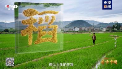 探秘稻作文明 《寻古中国·稻谷记》开播