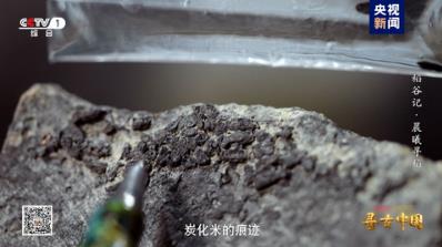 探秘稻作文明 《寻古中国·稻谷记》开播
