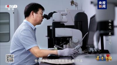 探秘稻作文明 《寻古中国·稻谷记》开播