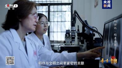 探秘稻作文明 《寻古中国·稻谷记》开播