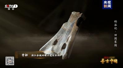 探秘稻作文明 《寻古中国·稻谷记》开播