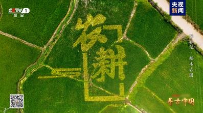探秘稻作文明 《寻古中国·稻谷记》开播