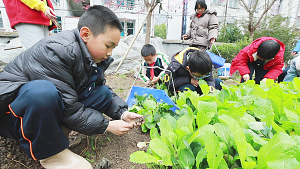 福建“护苗学堂”:快乐小课堂 成长加油站 福建“护苗学堂”:快乐小课堂 成长加油站