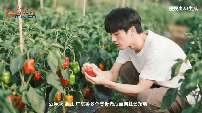 【职引未来·新职业图鉴】“乡村CEO”,青年人才投身农业反哺桑梓的新舞台 【职引未来·新职业图鉴】“乡村CEO”,青年人才投身农业反哺桑梓的新舞台