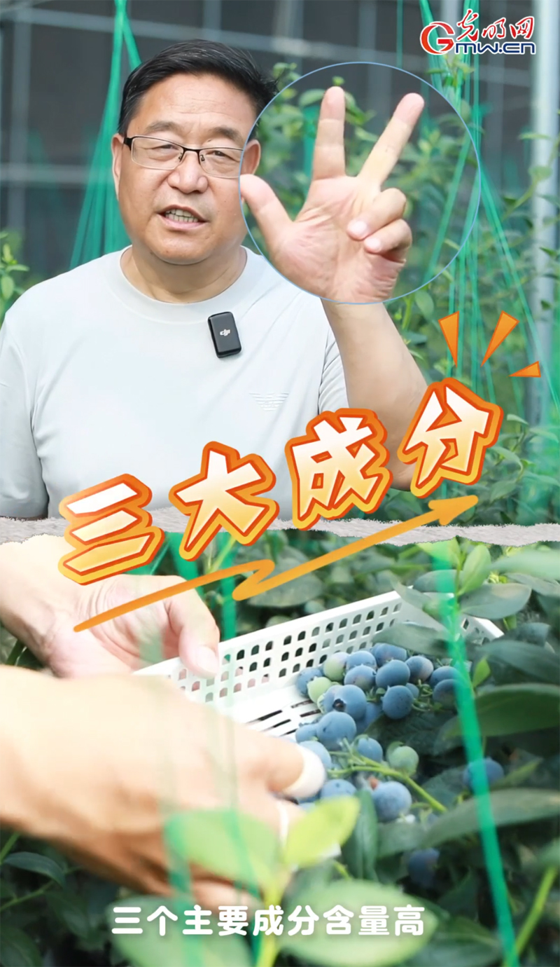 【新农人新“鲜”说】“禁区”长出致富果！河北农大教授现场剧透