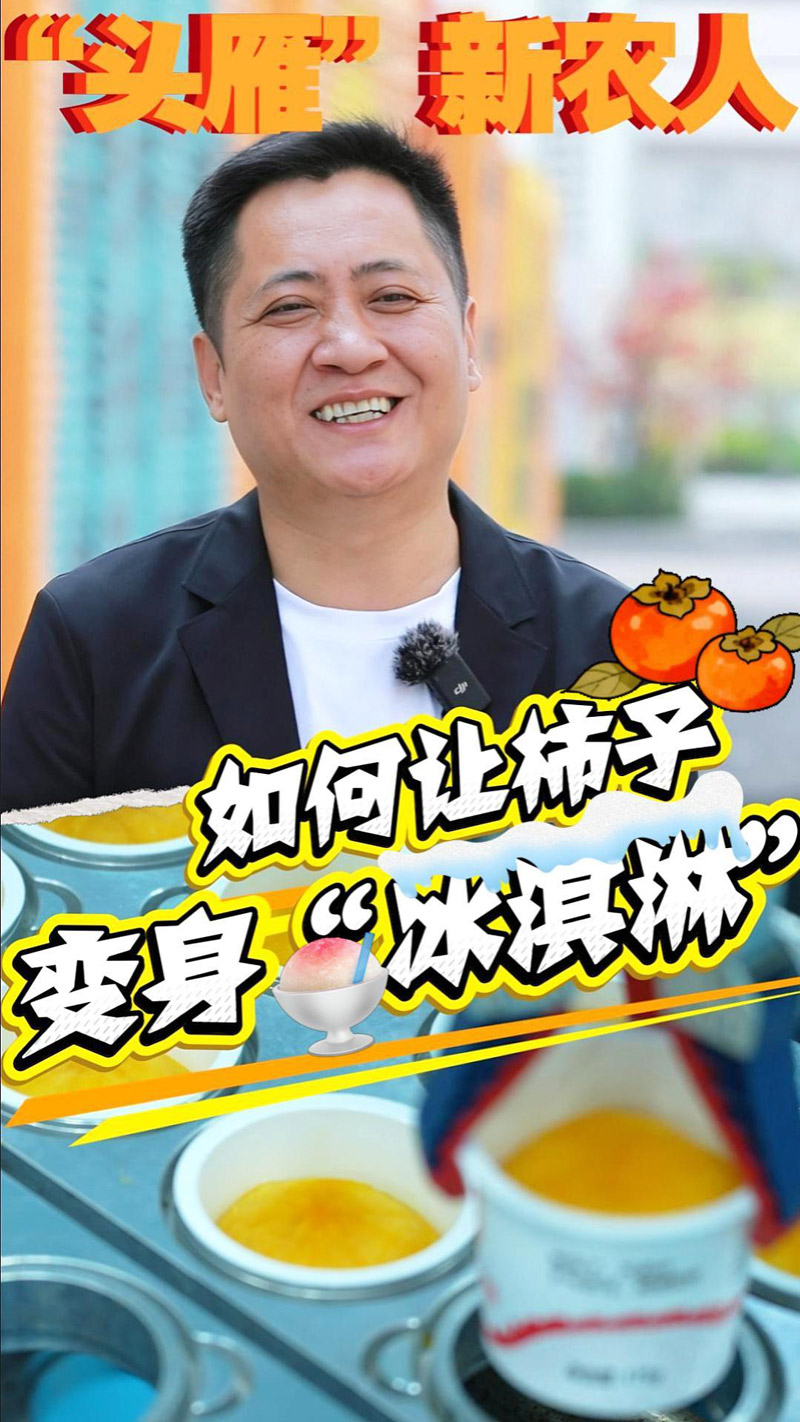 【奋斗新农人】柿子价格翻了近20倍,“头雁”有妙招 【奋斗新农人】柿子价格翻了近20倍,“头雁”有妙招