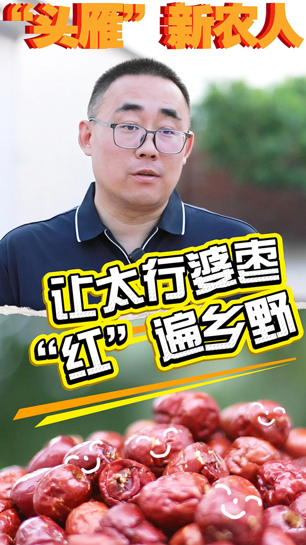 【“头雁”新农人】河北小伙读研期间获评全国劳模 把论文写在太行山脚下 【“头雁”新农人】河北小伙读研期间获评全国劳模 把论文写在太行山脚下